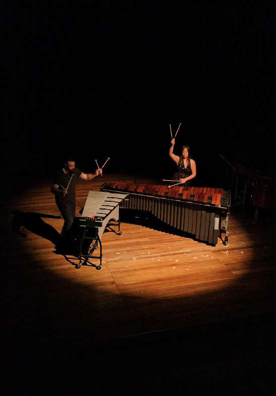In_pulsos Percussivos